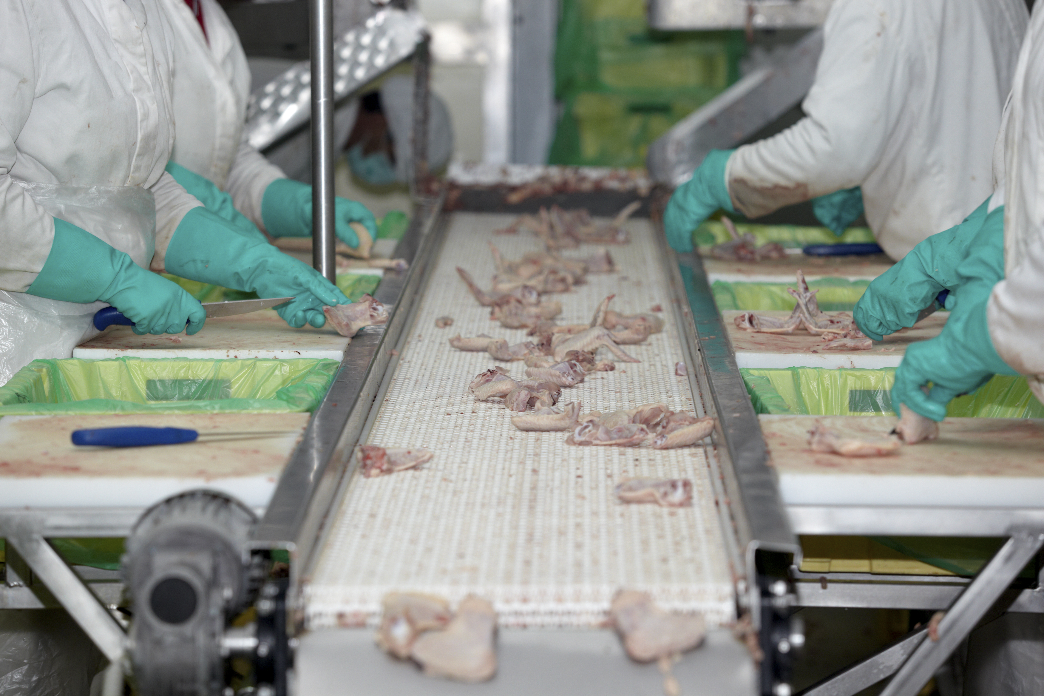fsma-meat-processing
